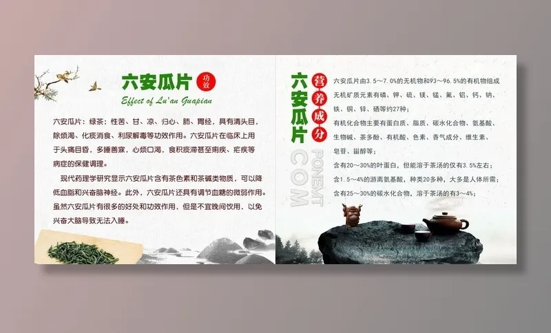 六安瓜片宣传册 内页第五页图片(3425x1594)psd模版下载