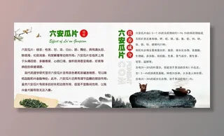 六安瓜片宣传册 内页第五页图片