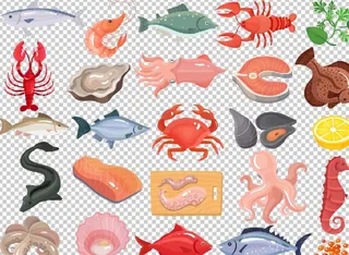 矢量海鲜龙虾金枪鱼乌贼三文鱼图片