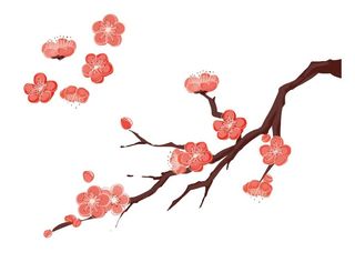 梅花 桃花 PNG手绘 PSD图片