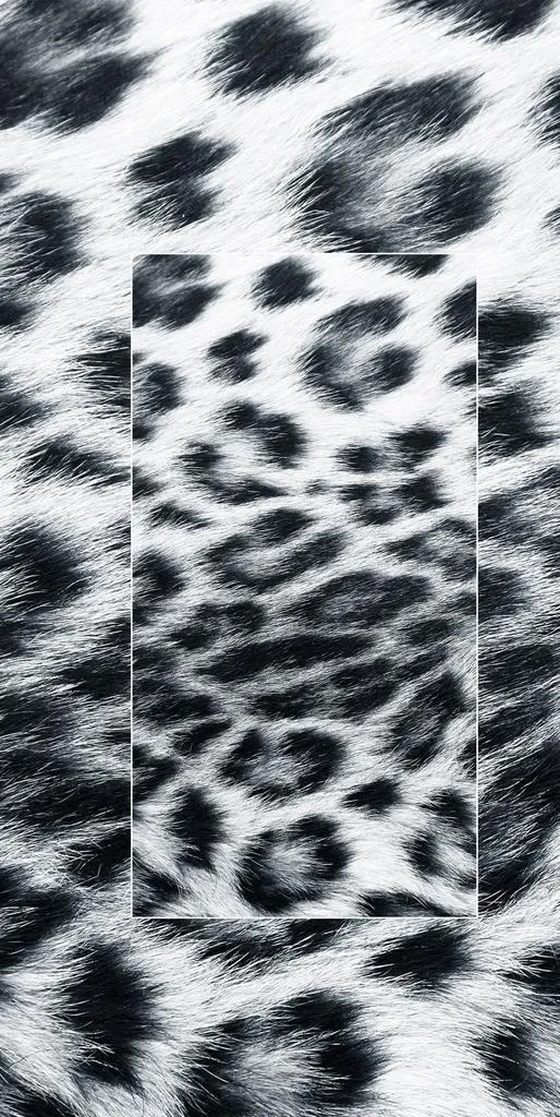 高清动物毛发背景图片(1869x3508)psd模版下载