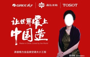 格力 格力户外 格力空调图片
