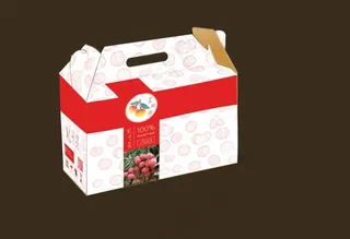 荔枝礼盒展开图图片