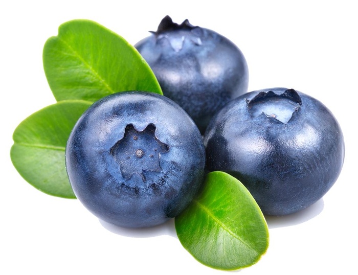 蓝莓 图片