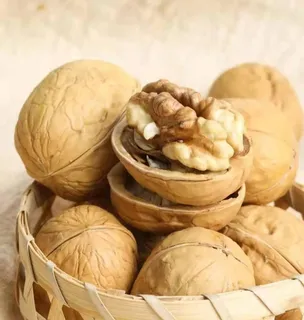纸皮核桃 图片 纸皮核桃 图片