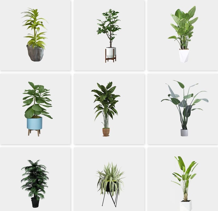 免扣植物素材图片