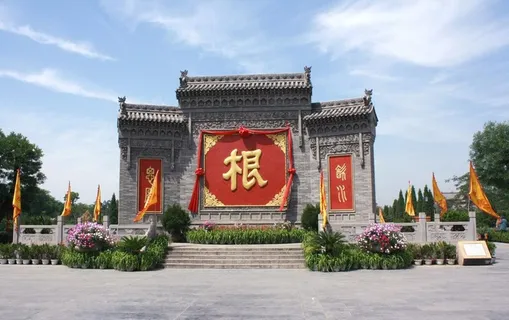 山西大槐树图片