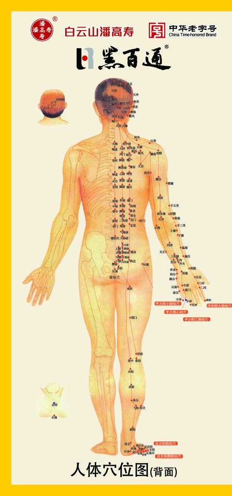 黑百通人体穴位图图片(2362x4724)psd模版下载