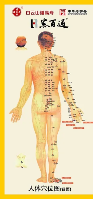 黑百通人体穴位图图片