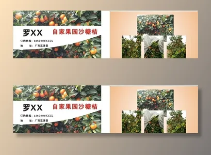 沙糖桔名片图片