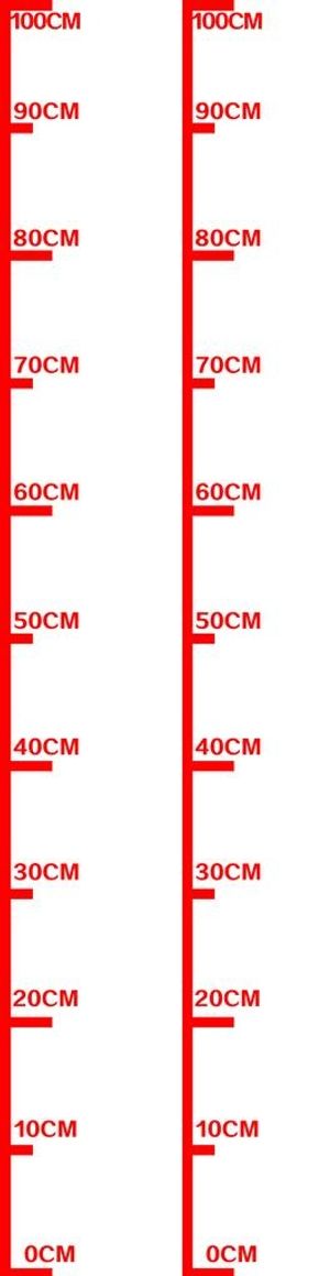 涉水险 刻度尺 图片