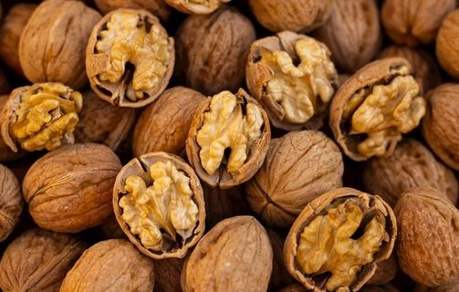 核桃高清图图片