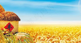 丰收背景图片