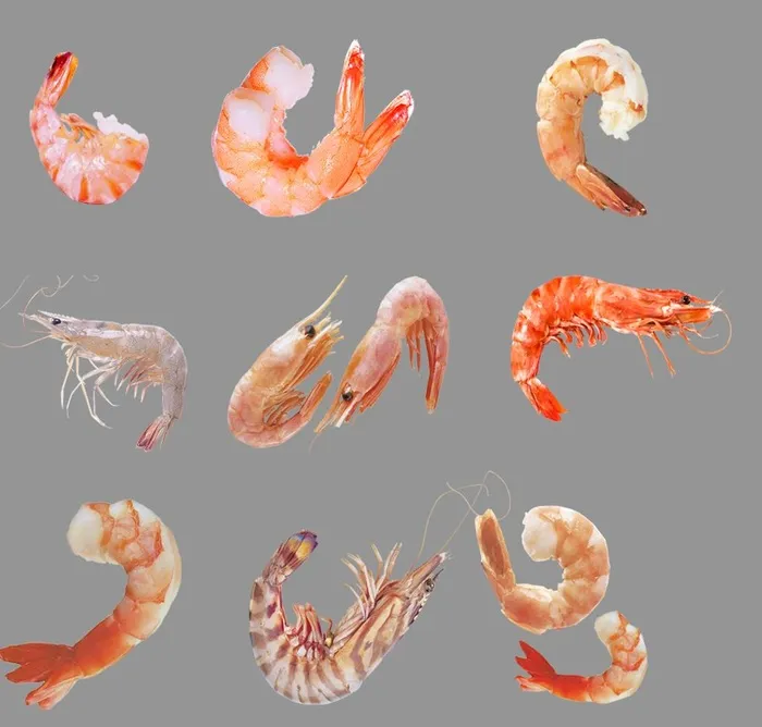虾仁图片(991x976)psd模版下载