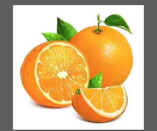 橙子插画图片