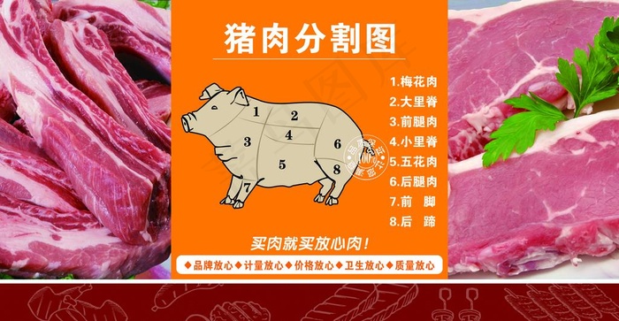 猪肉分割图图片