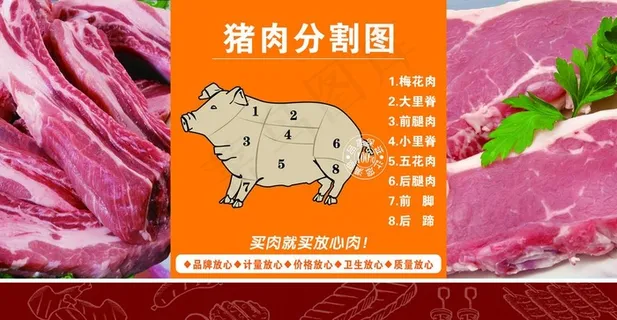 猪肉分割图图片