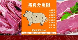 猪肉分割图图片