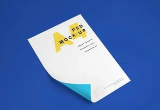 A4单页效果图样机图片