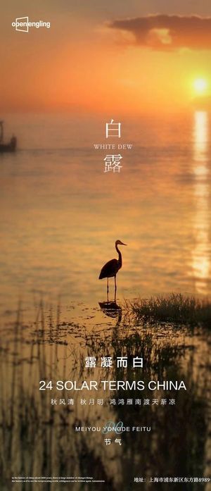 房地产白露海报 图片