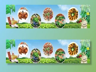 农场菜地种植图片