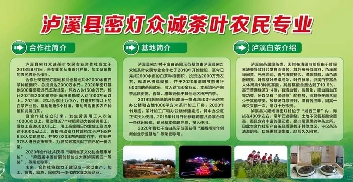 合作社简介图片cdr矢量模版下载