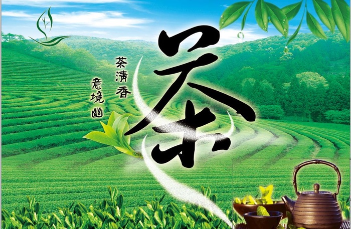 茶山背景图图片