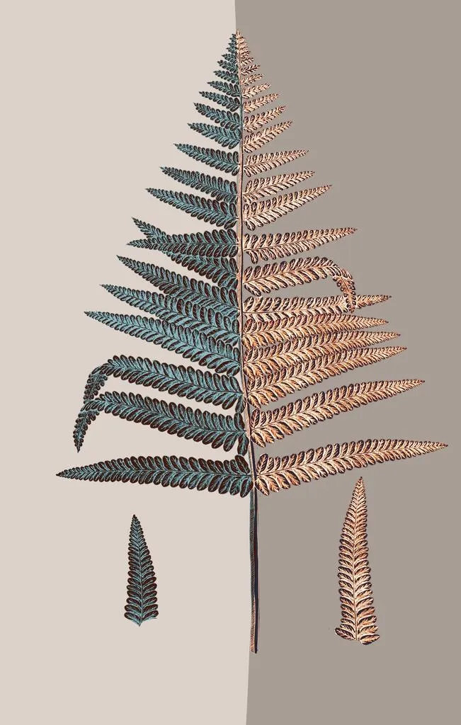 植物花草装饰挂画图片(3150x4724)psd模版下载