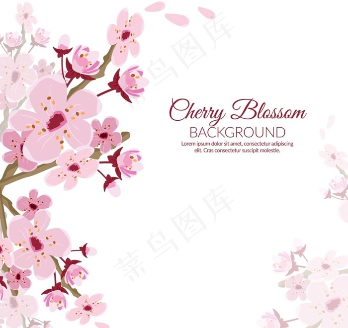 粉色樱花花枝图片