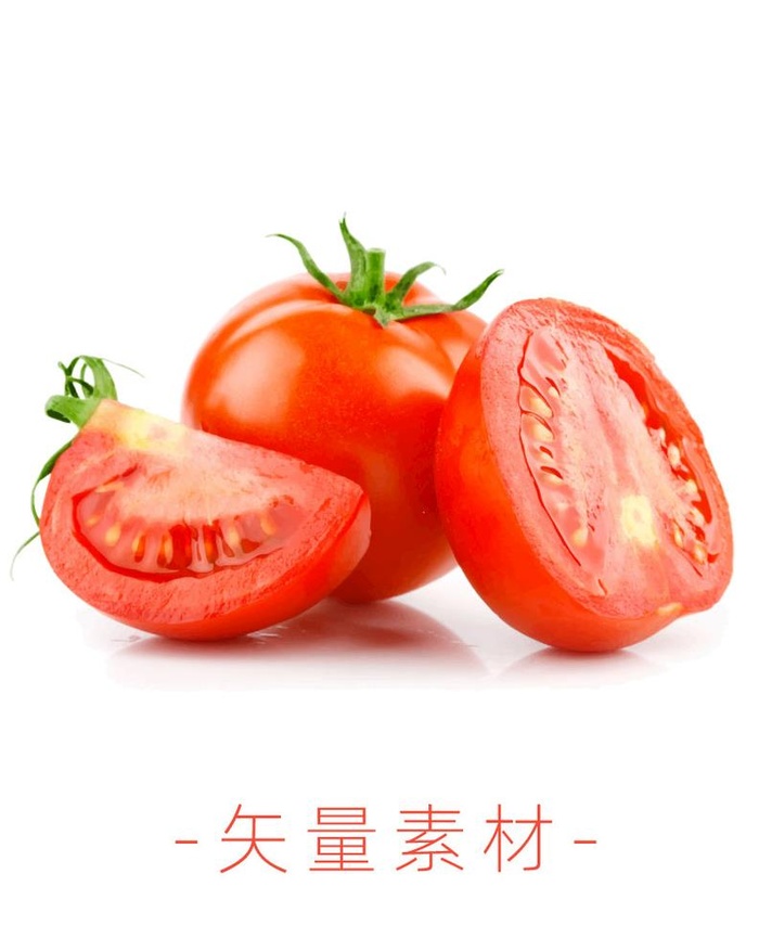 番茄 西红柿图片ai矢量模版下载