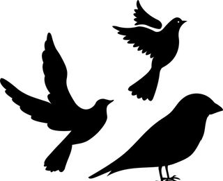 飞翔的鸟 剪影 小鸟图片