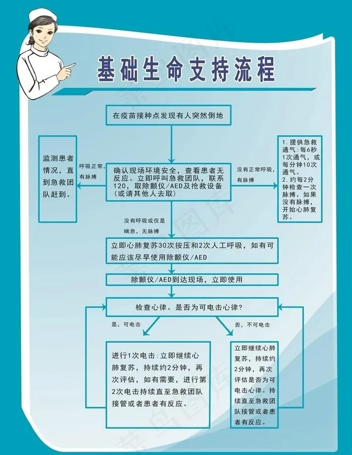 基础生命支持流程图片