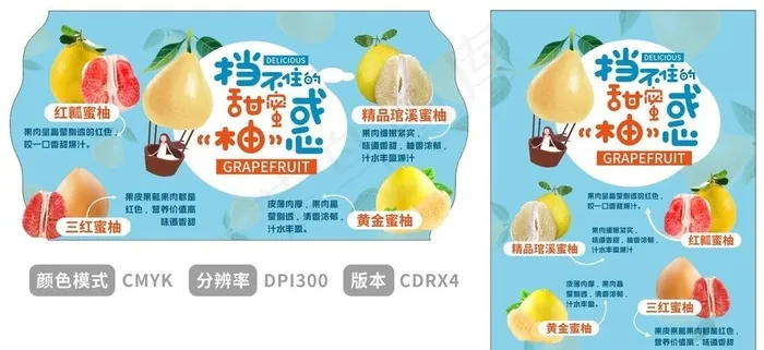 超市柚子吊牌图片cdr矢量模版下载