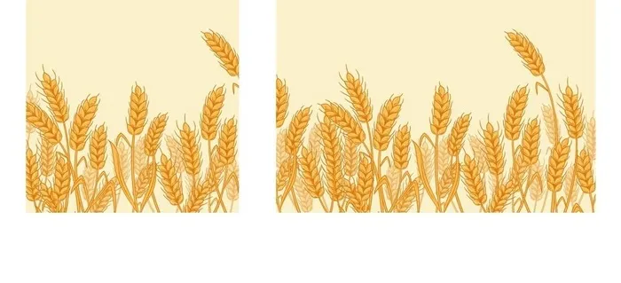 彩绘麦田麦穗矢量素材图片