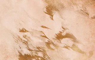 金粉 典雅 高贵 贵气 背景图片