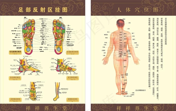 人体经络图 足底反射区图图片