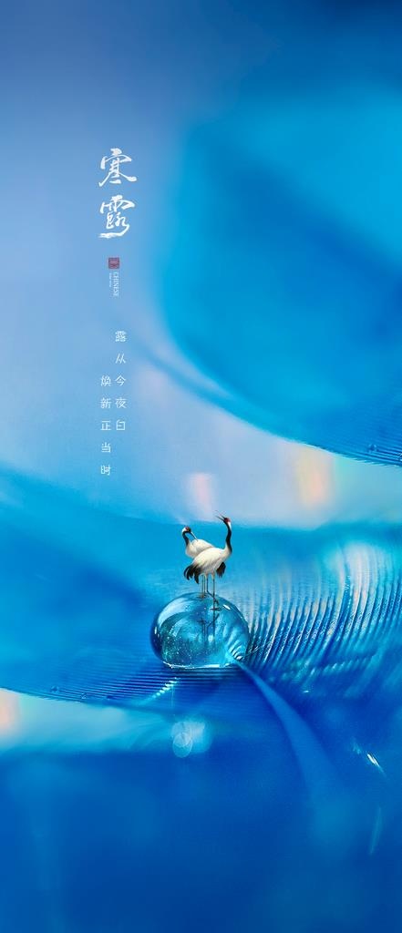 寒露图片(1067x2310)psd模版下载