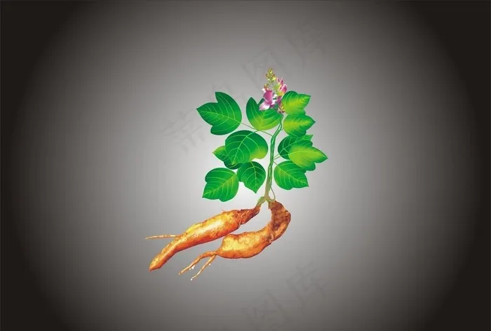 葛根茶图片cdr矢量模版下载