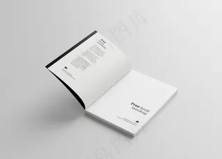 画册 书本样机 图片