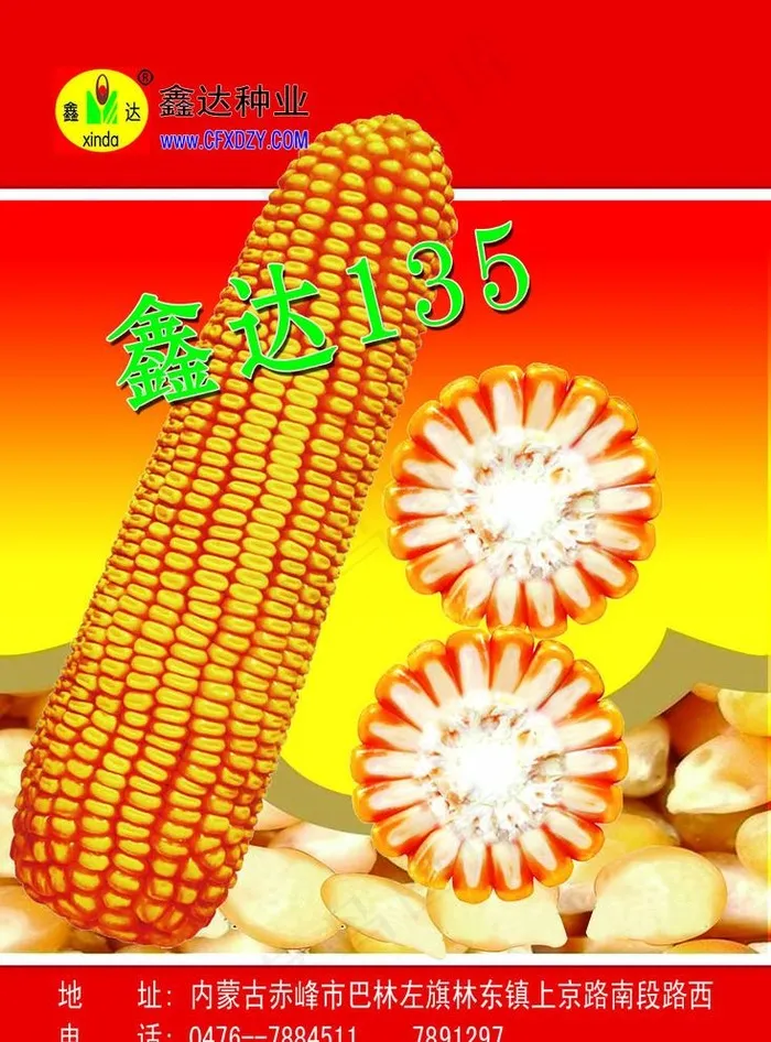 玉米海报图片psd模版下载