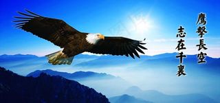 鹰击长空志在千里图片