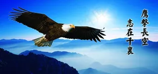 鹰击长空志在千里图片