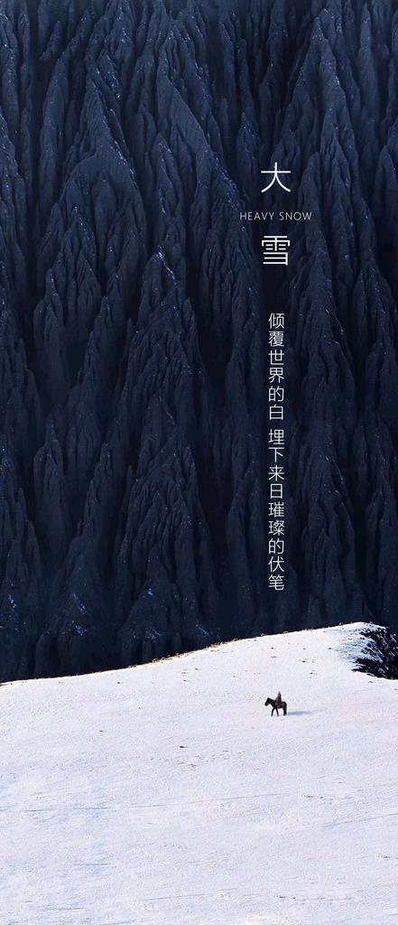 大雪海报图片(1772x3839)psd模版下载