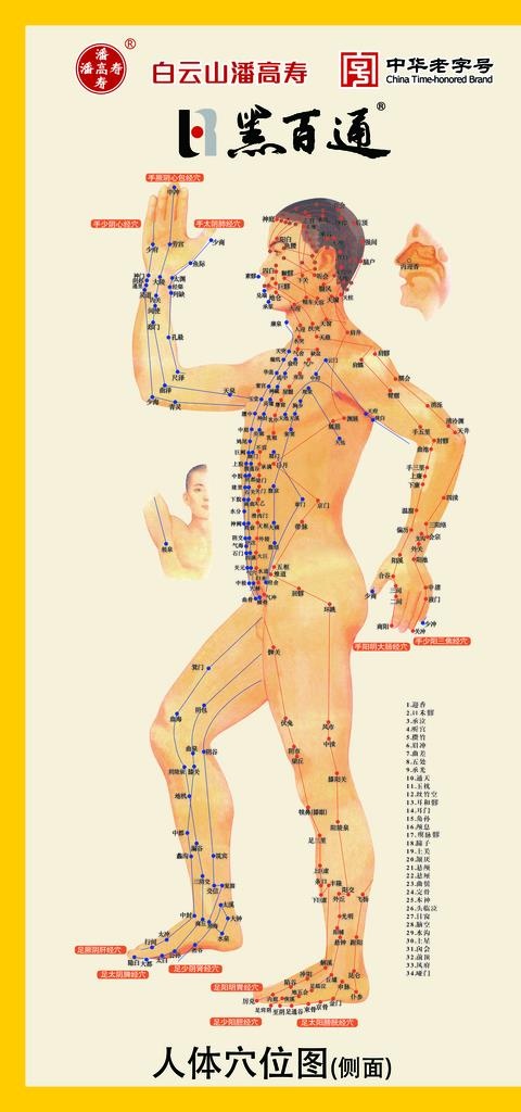 黑百通人体穴位图图片
