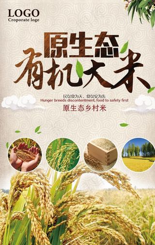 原生态有机大米海报图片