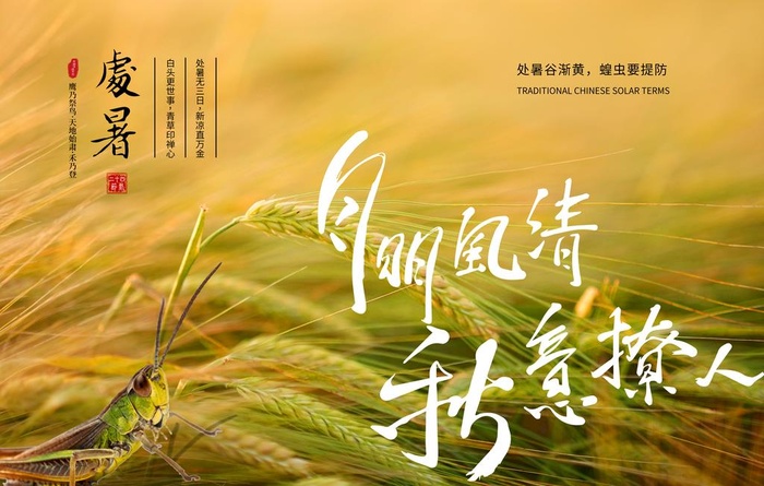 处暑海报图片