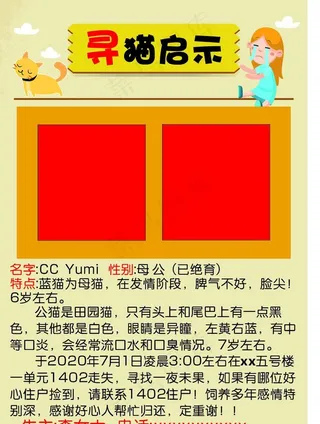 寻猫启事图片