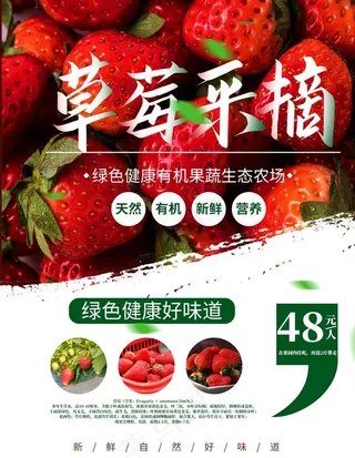 草莓采摘图片