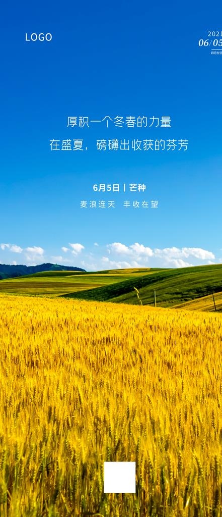 麦田图片psd模版下载