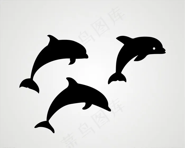 海豚图片cdr矢量模版下载